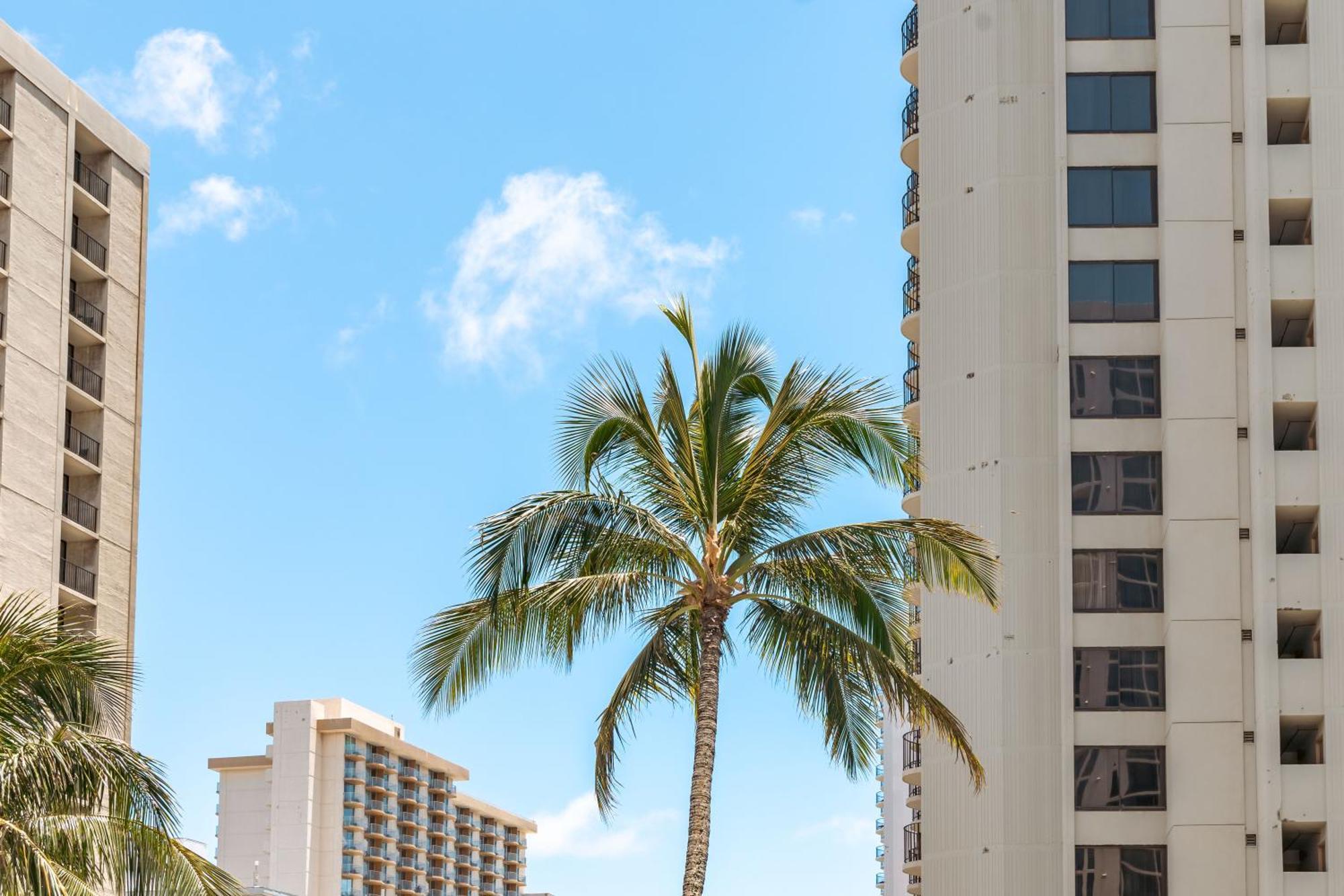 1Br With Great Ocean Views, 1 Block To Waikiki Beach Honolulu Eksteriør billede